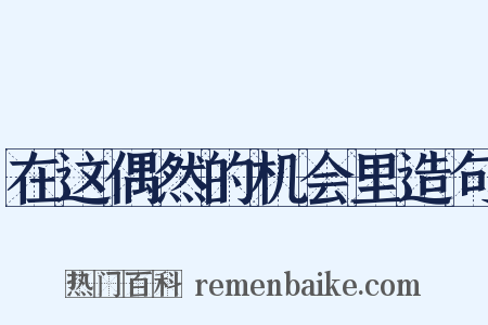 在这偶然的机会里造句是什么意思的图片